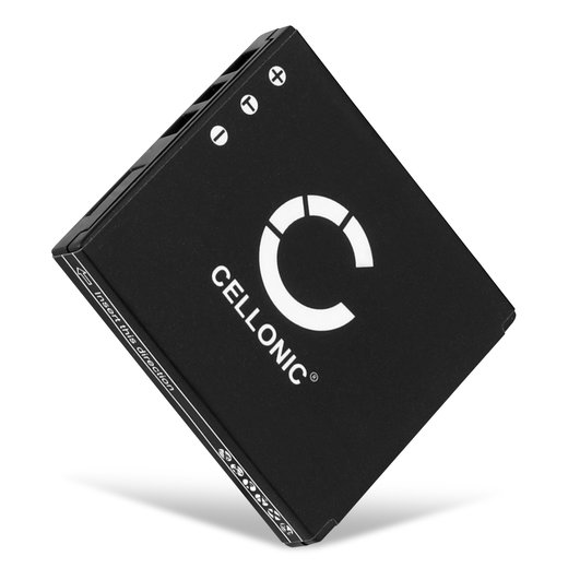 Batterie 700mAh pour appareil photo Sanyo Xacti VPC-E1, VPC-CG65, VPC-CA65 - Remplacement modèle DB-L20 DB-L20A
