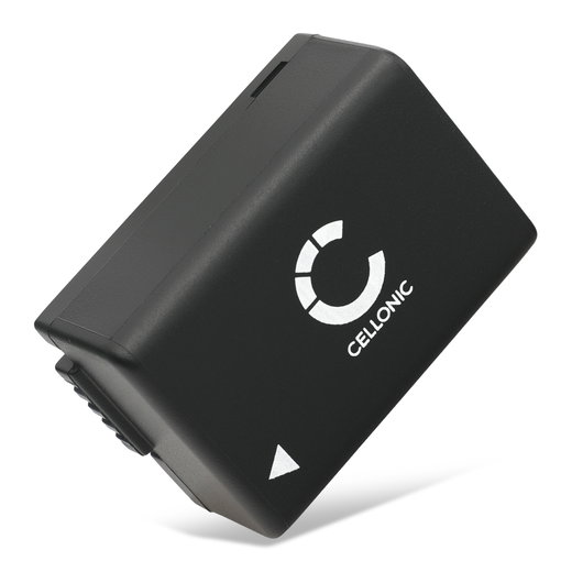 BP-DC9 Batteri för Leica V-LUX 2 V-LUX 3, 800mAh Kamera-ersättningsbatteri med lång batteritid