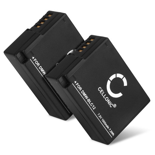 2x Batterie 1000mAh pour appareil photo Leica V-LUX 4 - Remplacement modèle BP-DC12-E BP-51