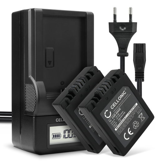 2x Batteria per Panasonic Lumix DMC-FZ10 DMC-FZ20 DMC-FZ5 -FZ1 -FZ15 -FZ2 -FZ3 DMC-FC20 - CGA-S002e CGA-S002e-1B CGR-S002 DMW-BM7 700mAh + Caricabatteria di Ricambio sostituzione scorta