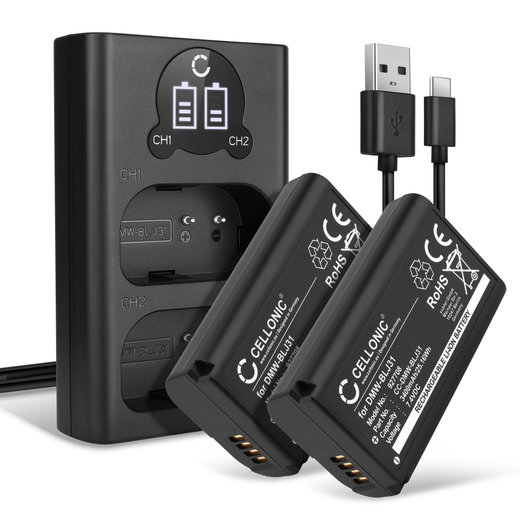 2x Batteria per Panasonic Lumix DC-S1, Lumix DC-S1H, Lumix DC-S1R - DMW-BLJ31 3400mAh + Caricabatteria doppio DMW-BTC14E Ricambio sostituzione scorta