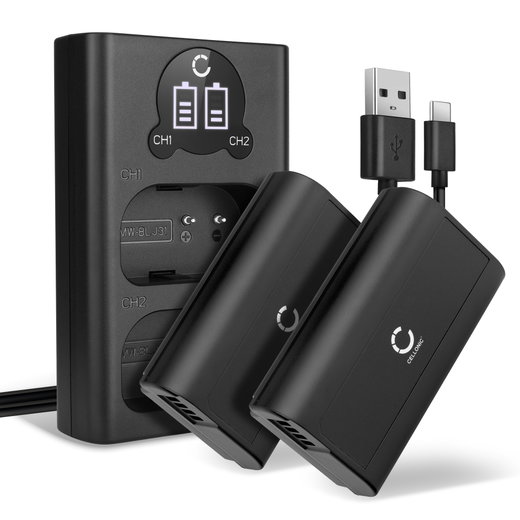 2x Batteria per Panasonic Lumix DC-S1 Lumix DC-S1H Lumix DC-S1R, Lumix S1 - DMW-BLJ31 2200mAh + Caricabatteria doppio DMW-BTC14E Ricambio sostituzione scorta