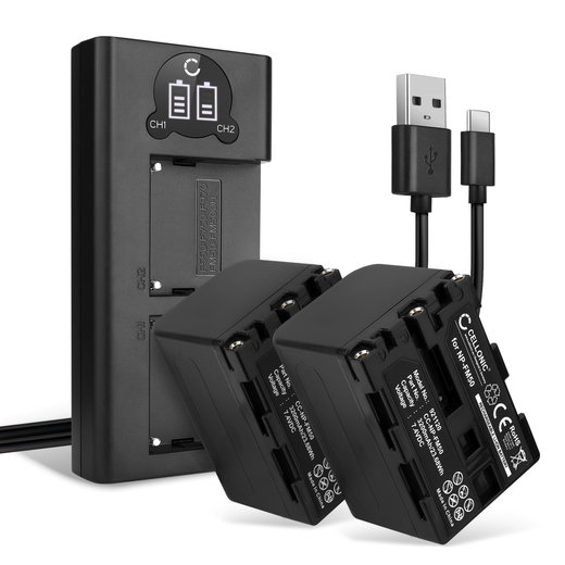 2x Batteria per Sony CCD-TVR118 CCD-TRV138 HDR-HC1 GV-D1000 HDR-SR1 DCR-PC100 - NP-FM50 NP-FM30 3200mAh + Caricabatteria doppio DCC-L50B AC-VQ50 Ricambio sostituzione scorta